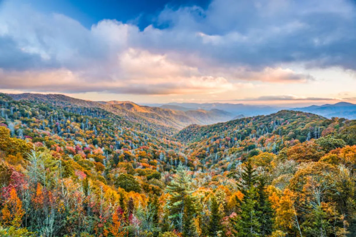 This image captures sweeping views of rolling hills blanketed in vibrant autumn foliage, stretching into distant mountains. The serene landscape is alive with color, evoking the allure of the Smoky Mountains and inviting exploration.