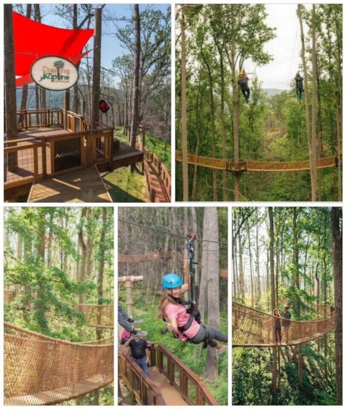 The scene shows a zip line platform surrounded by lush forest, with participants in harnesses ready for adventure. Suspended bridges and treetop platforms offer a glimpse into thrilling outdoor activities available nearby.